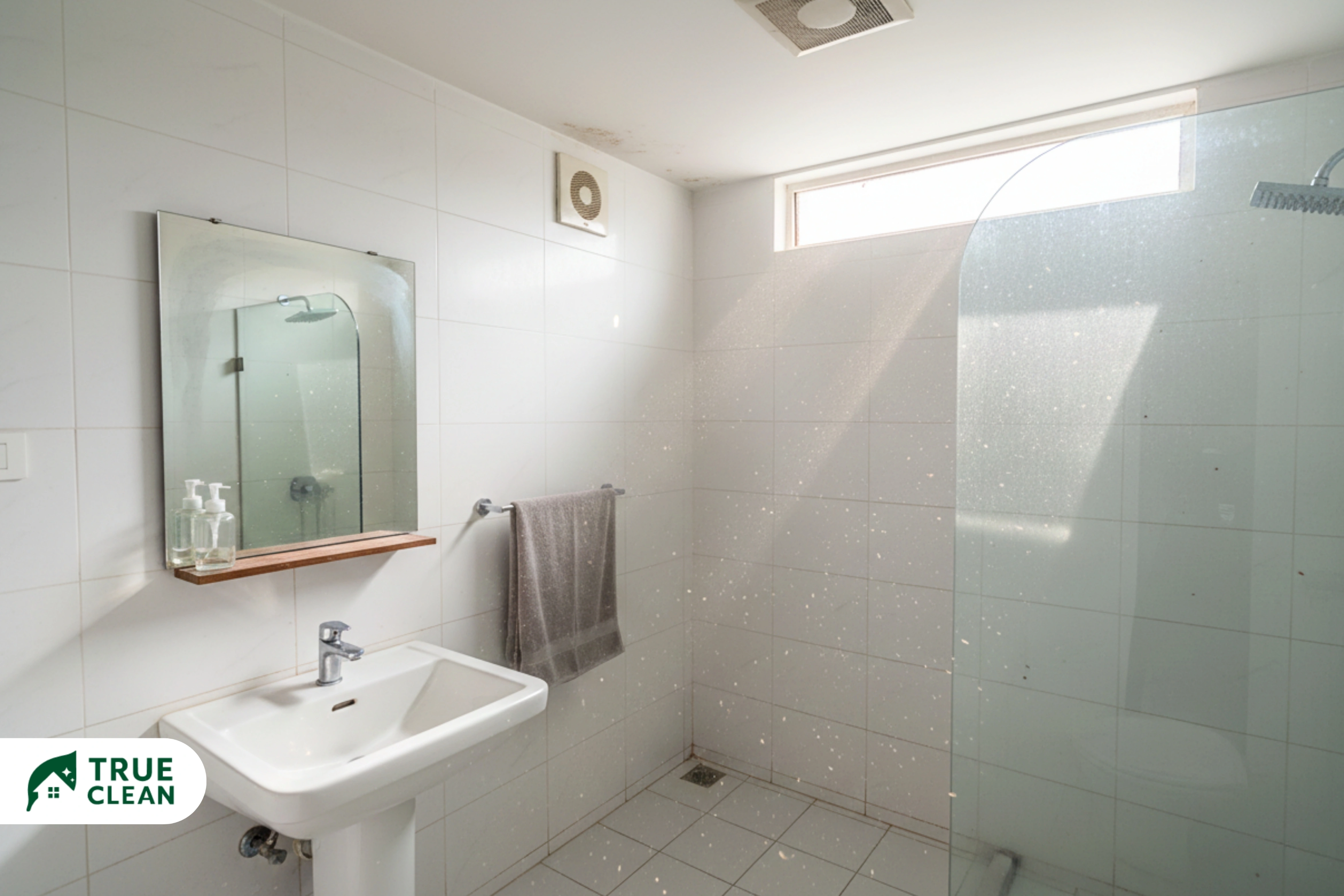 Carpet and upholstery cleaning improving indoor air quality